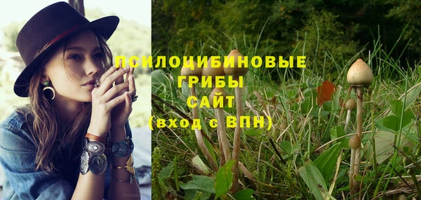гидропоника Алзамай