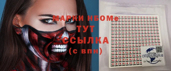 гидропоника Алзамай